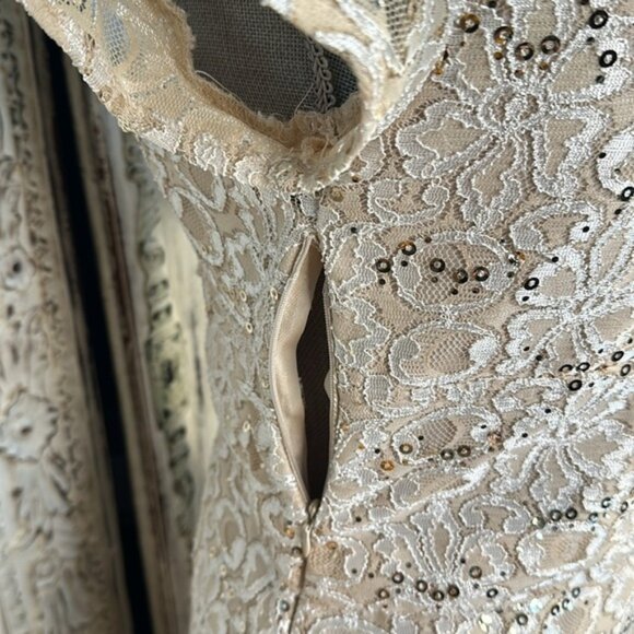 Scarlett Tan Lace and Sequins Short Sleeve Special Occassion Party Dress Size 6 - Picture 7 of 11